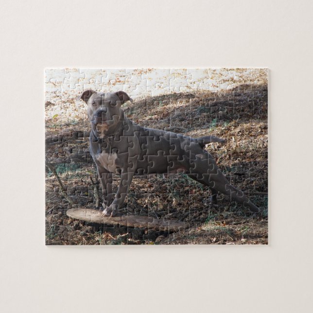 Pitbulle mit Skateboard Puzzle (Horizontal)