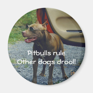 Pitbulle-Regel Magnet
