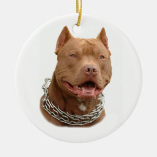 Pitbulling Keramikornament