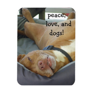 Pittbull Dog - Frieden, Liebe und Hunde Magnet