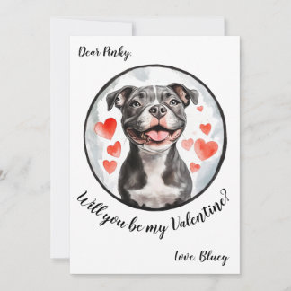 Pittbull für den Valentinstag Feiertagskarte