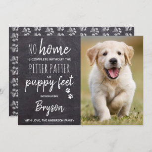 Pitter-Patter für Welpenfutter - neuer Hund für He Ankündigung
