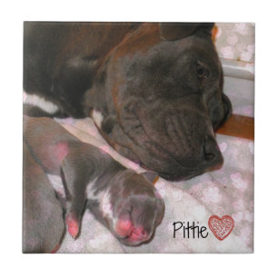 Pittie Liebe Fliese