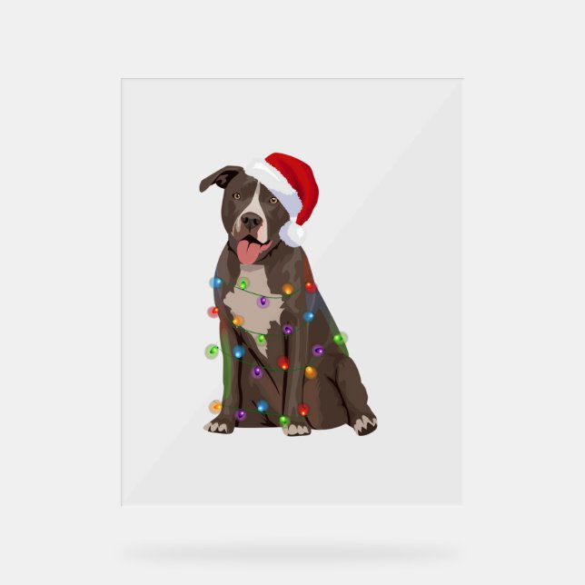 Pittie Pitbuli Weihnachtslicht Weihnachten Weihnac Acrylschild (Vorderseite)