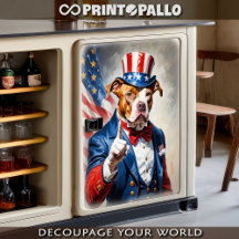 Pitubull als Uncle Sam für den 4. Juli -