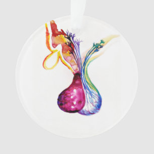 Pituitus Ornament