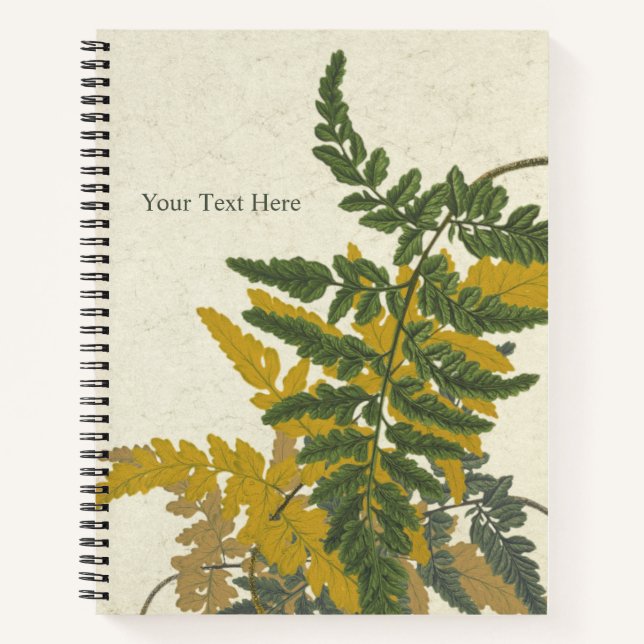 Pityrogramma chrysophylla Fern Notizbuch (Vorderseite)