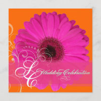 Pix Dezines Gerbera, pink/deines Events!