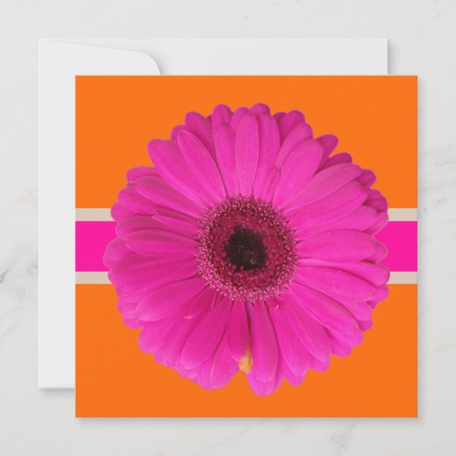Pix Dezines Gerbera, pink/diy Hintergrund/Event! Einladung (Vorderseite)