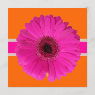 Pix Dezines Gerbera, pink/diy Hintergrund/Event! Einladung