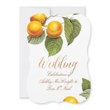 Pix Dezines Orchard/Pfirsiche/Redoute