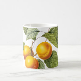Pix Dezines Orchard/Pfirsiche/Redoute Kaffeetasse