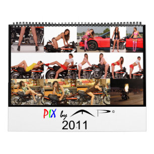 PIX durch Parlamentarier 2011 Kalender