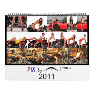 PIX durch Parlamentarier 2011 vorbildlichen Kalender