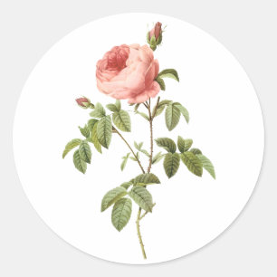 PixDezine viktorianische Rosen/redoute Runder Aufkleber