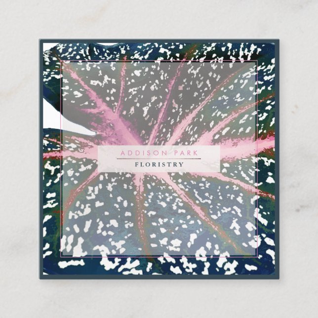 PixDezines Dark Green Caladium Coral Spine Quadratische Visitenkarte (Vorderseite)