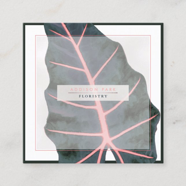 PixDezines Dark Green Caladium Coral Spine Quadratische Visitenkarte (Vorderseite)