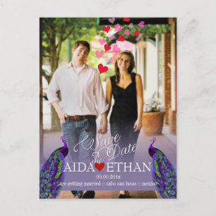 PixDezines Foto+Pfau/ Ankündigungspostkarte