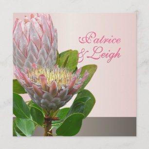 PixDezines frische Maui Protea hellrosa/DIY Einladung