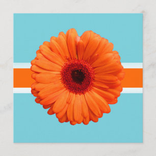 PixDezines Gerbera, orange/DIY-Hintergrundfarben Einladung