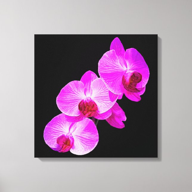 PixDezines Hintergrundfarbe Orchid/Hot-Pink/DIY Leinwanddruck (Vorderseite)