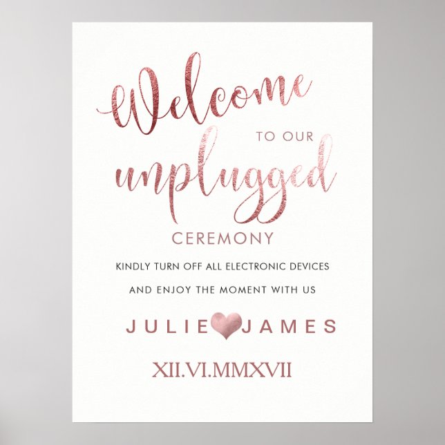 PixDezines Imitate Rose Gold/#UNPLUGGED Poster (Vorne)