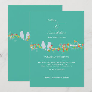 PixDezines LIEBESVÖGEL/DIY-HINTERGRUNDFARBE Einladung