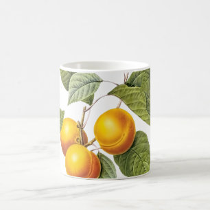 PixDezines Obstgarten/Pfirsiche/Redoute Kaffeetasse