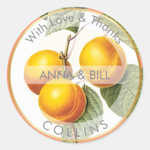 PixDezines Orchard/Peaches/DIY Vielen Dank Runder Aufkleber