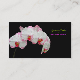 PixDezines Orchidee/diy Hintergrund color♥♥♥ Visitenkarte