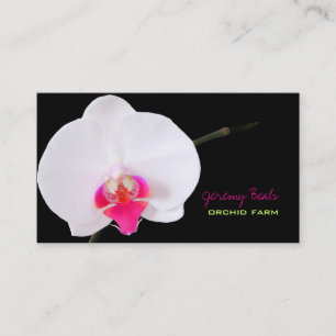 PixDezines Orchidee/DIY Hintergrundfarbe♥♥♥ Visitenkarte