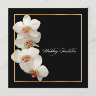 PixDezines orchids/Phalaenopsis Einladung
