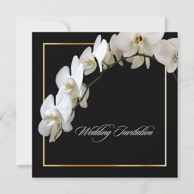 PixDezines orchids/Phalaenopsis Einladung (Vorderseite)