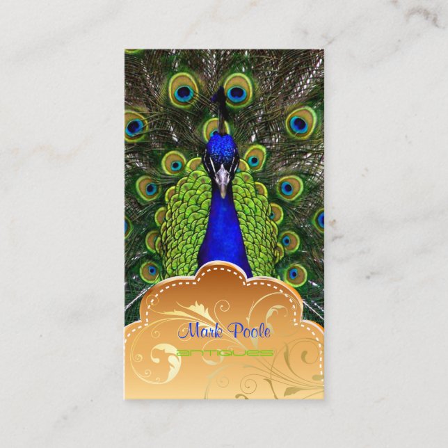 PixDezines Peacock+filigree Wirbel Visitenkarte (Vorderseite)