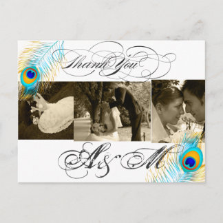 PixDezines Peacock Wedding Fotos Vielen Dank Postkarte