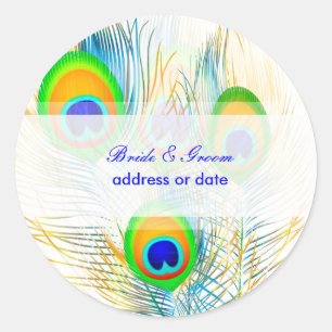 PixDezines Pizzazz Peacock Feather/Degenfarbe Runder Aufkleber