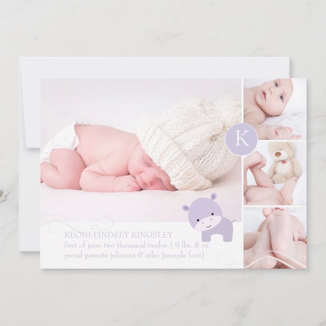 PixDezines rosa Hippo/Di-Akzent Farbe Ankündigung (Vorderseite)