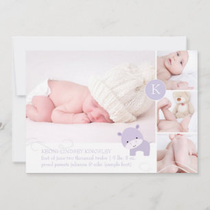 PixDezines rosa Hippo/Di-Akzent Farbe Ankündigung