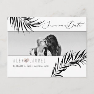PixDezines Schwarze Palmen, Save the Date Postkarte