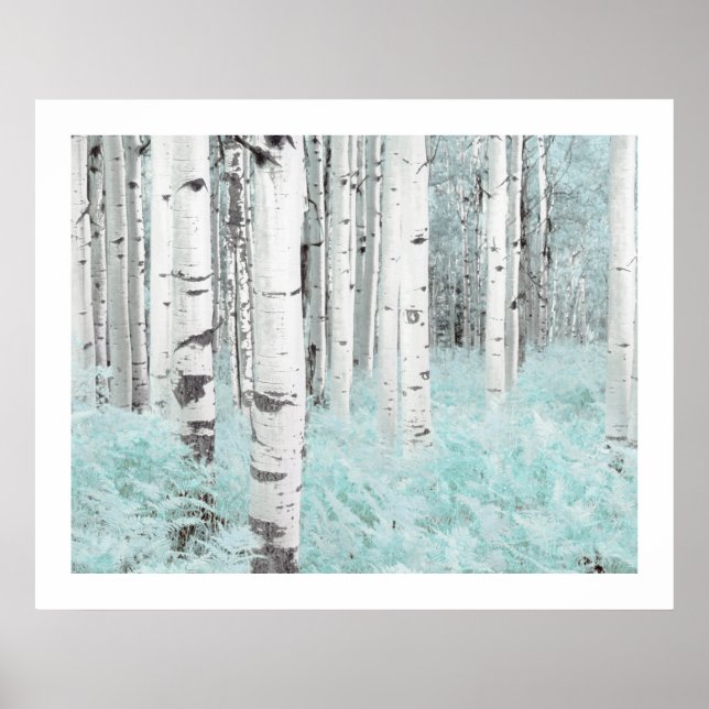 PixDezines Silber-Birkenwald Blaue Farn-Bett Poster (Vorne)