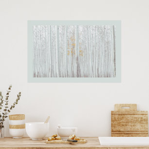 PixDezines Silber-Birkenwald DIY-Randfarbe Poster