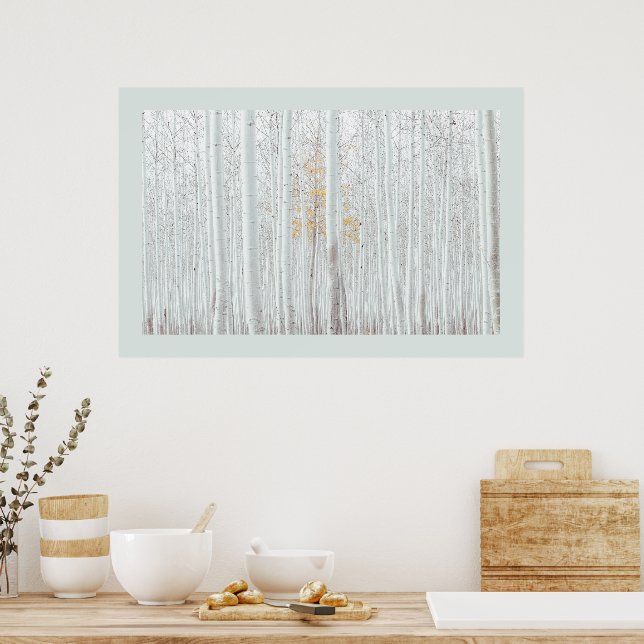PixDezines Silber-Birkenwald DIY-Randfarbe Poster (Küche)