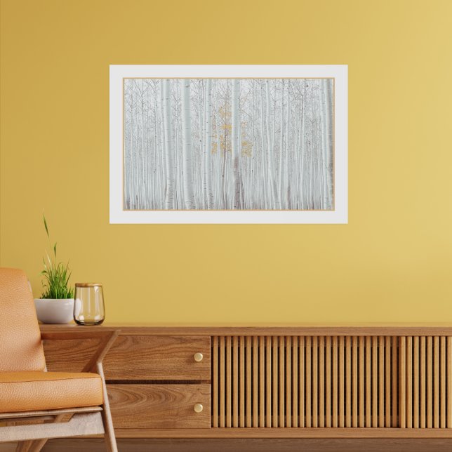 PixDezines Silber-Birkenwald DIY-Randfarbe Poster (Wohnzimmer 2)