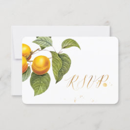 PixDezines UAWG Orchard/Pfirsiche/Redoute RSVP Karte