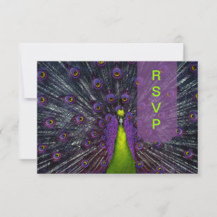 PixDezines uAwg Peacock Feather RSVP Karte