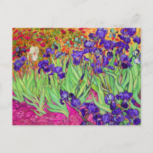 PixDezines van gogh iris/st. remy Postkarte