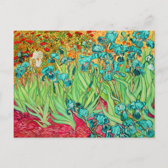 PixDezines Van Gogh iris/st. remy Postkarte (Vorderseite)