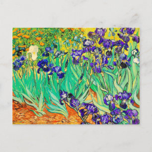 PixDezines van gogh iris/st. remy Postkarte