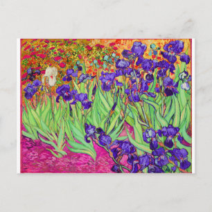 PixDezines van gogh iris/st. Rückwärme Postkarte