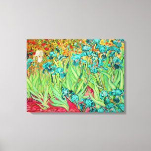 PixDezines van gogh irises/st. remy Leinwanddruck